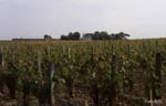 Chateau Margaux 2
