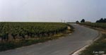 Medoc
