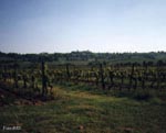 Monbazillac