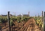 Pomerol