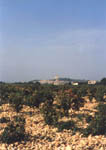 Chateauneuf du-Pape
