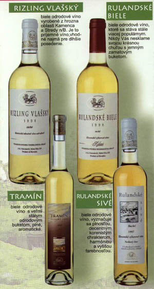 Ryzlink vlask, rulandsk bl, tramn, rulandsk ed